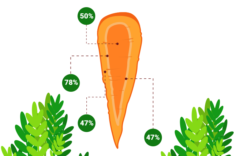 British organic carrots facts