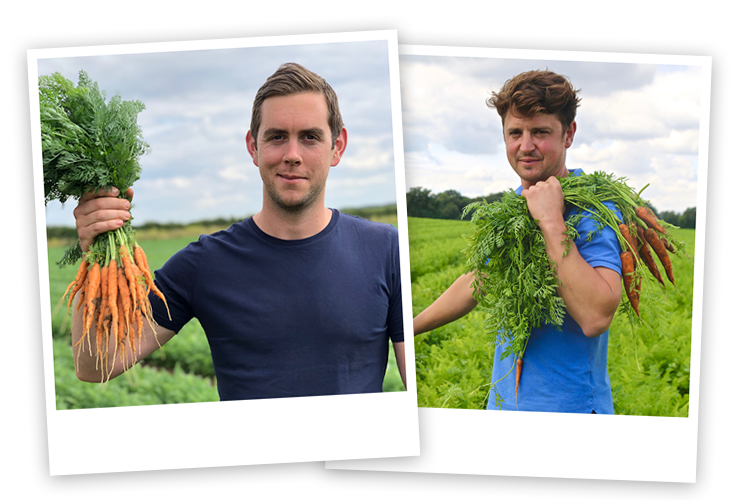 British organic carrots growers