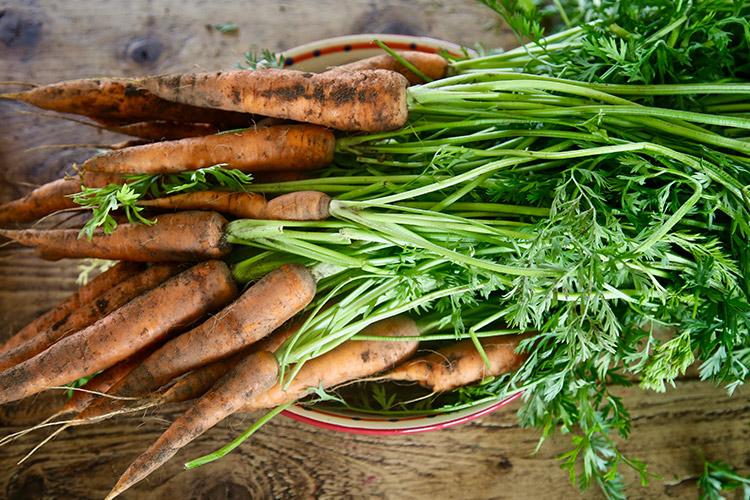 British organic carrots
