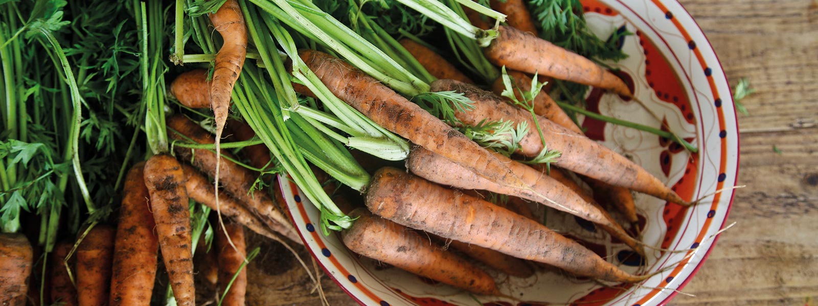 British Organic Carrots Recipes and Facts