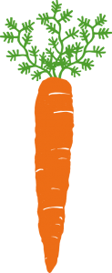 British organic carrots